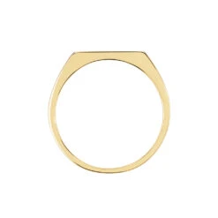 Chevalière Plaqué Or Jaune Barth Email Noir -Garmin Soldes FQHHJWN005 view2