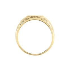 Chevalière Plaqué Or Jaune Azarel Email Noir 10 Chevalière Plaqué Or Jaune Azarel Email Noir -Garmin Soldes FQHHJWN007 view2