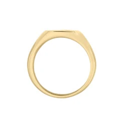 Chevalière Hide Plaqué Or Oxyde De Zirconium -Garmin Soldes FQHHJZW102 view2