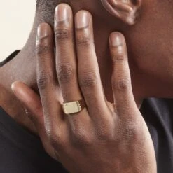 Chevalière Plaqué Or Jaune Guillermo Oxyde De Zirconium 12 Chevalière Plaqué Or Jaune Guillermo Oxyde De Zirconium -Garmin Soldes FQHHJZW109 model0