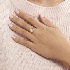 Chevalière Gregoire Plaqué Or Jaune 11 Chevalière Gregoire Plaqué Or Jaune -Garmin Soldes FQHMJW0109 model1