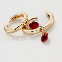 Créoles Plaqué Or Pauw Pampilles Oxydes De Zirconium -Garmin Soldes FQOFJZR004 view2