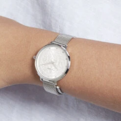 Montre Pierre Lannier Eolia Argenté -Garmin Soldes HIMFBQF0Q4 model1