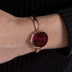 Montre Pierre Lannier Leia Blanc -Garmin Soldes HIMFRQR028 model1