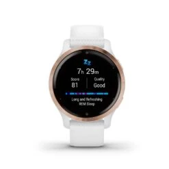 Montre Connectée Garmin Venu 2s