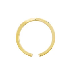 Bague Adelind Acier Jaune -Garmin Soldes MIDFJW0260 view2