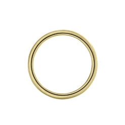 Bague Phebus Him Acier Dore -Garmin Soldes MIDHJW0167 view2