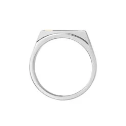 Chevalière Jourdan Lord Acier Bicolore Diamant -Garmin Soldes MIHH2DW001 view2