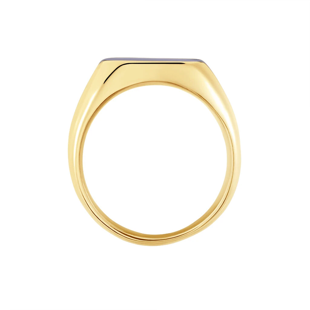 Chevalière Jourdan Veligenda Acier Doré 5 Chevalière Jourdan Veligenda Acier Doré – Image 3